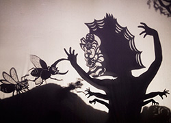 “monkey